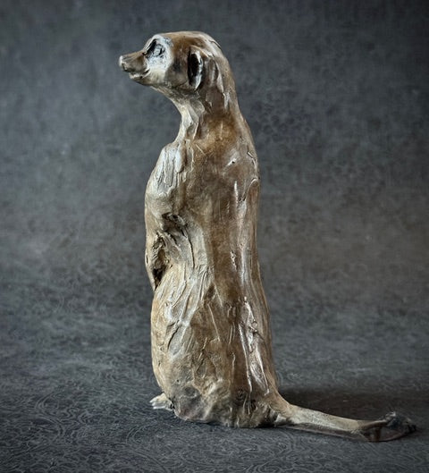 The Lookout Scout: Meerkat