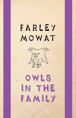 Owls in the Family