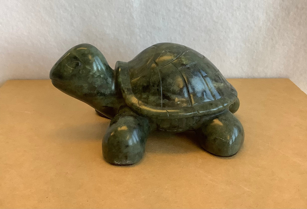 Slider Turtle