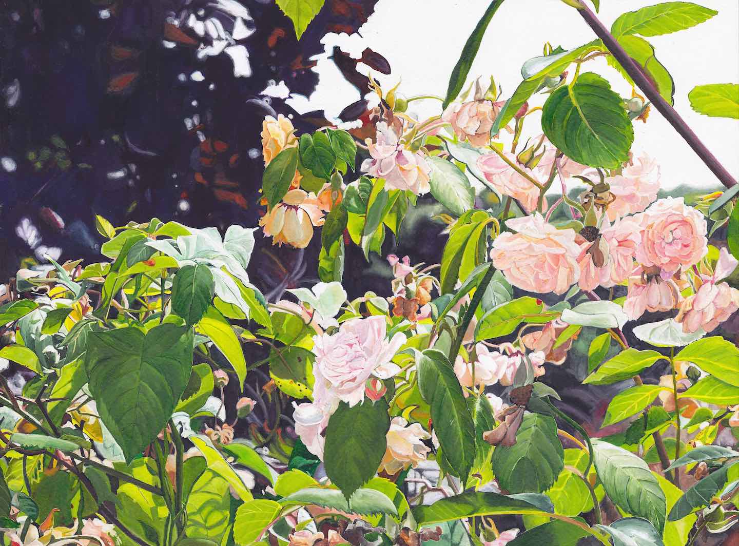 GLIMMER | Watercolour Paintings by Lucy Cariou