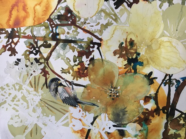 'Conversations from the Garden' | New works by Brenda Malkinson | Opens November 16