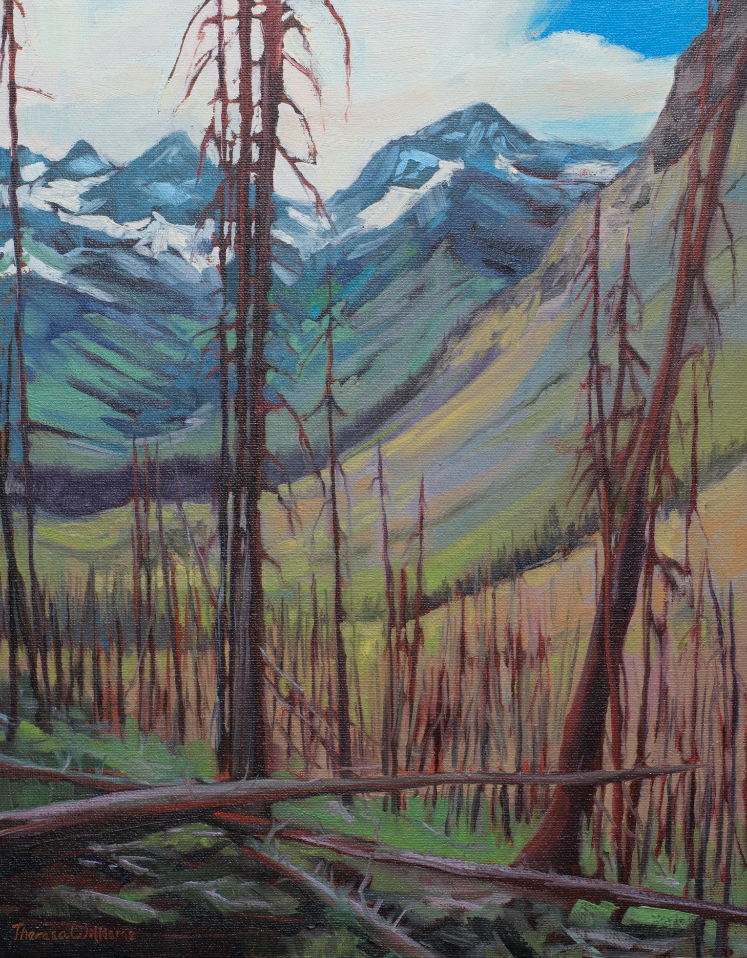 'DAYS LIKE THIS' | New works by Theresa Williams | Opens June 5th