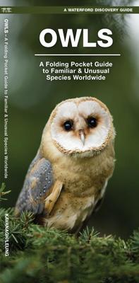 Pocket Guide: Owls