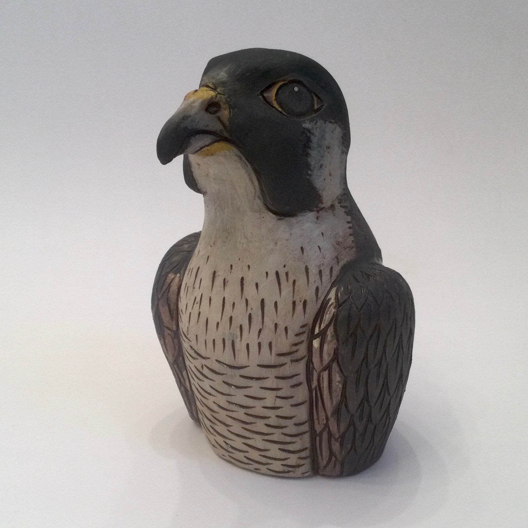 Peregrine Falcon Portrait Bust