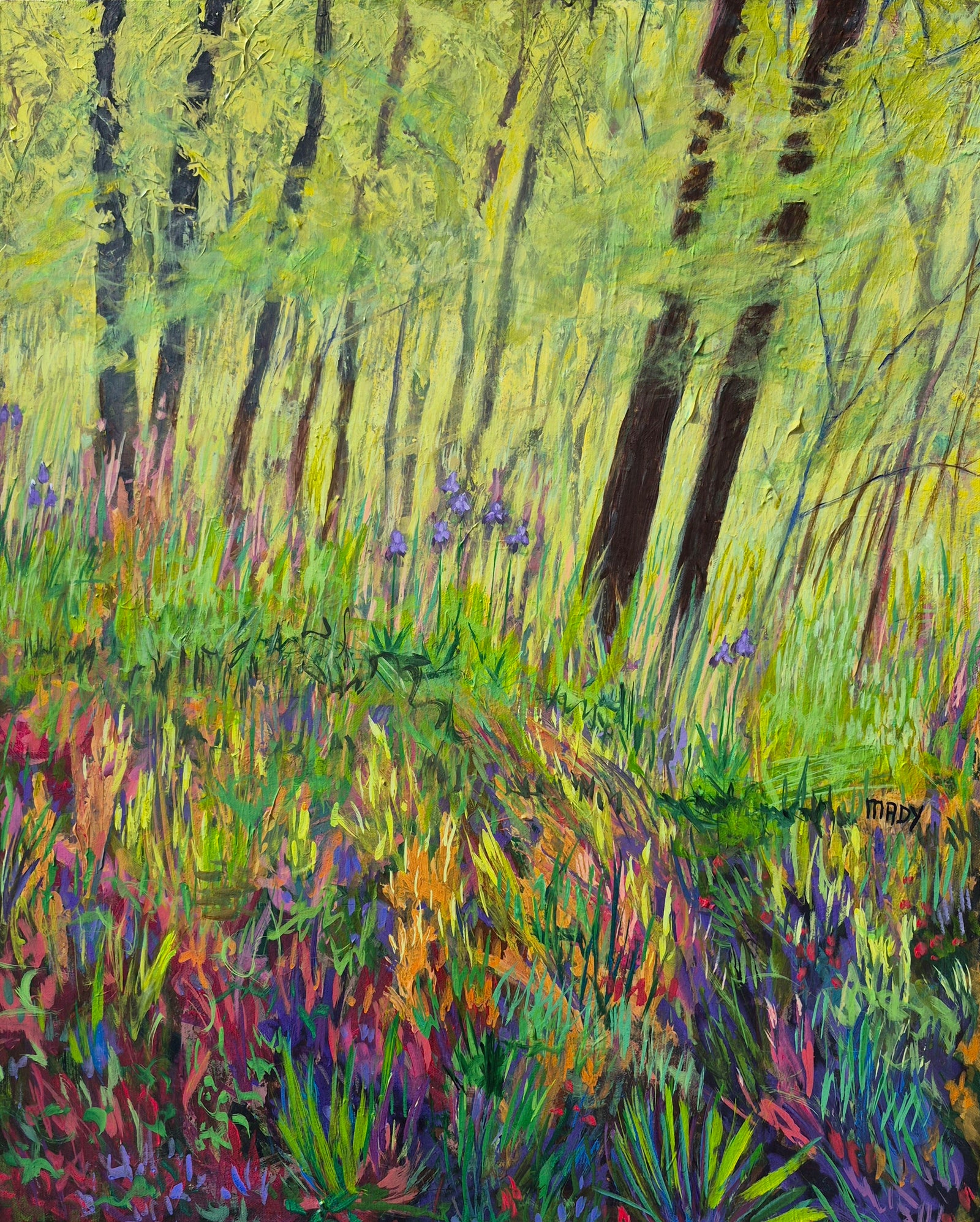 What We All Dream Of