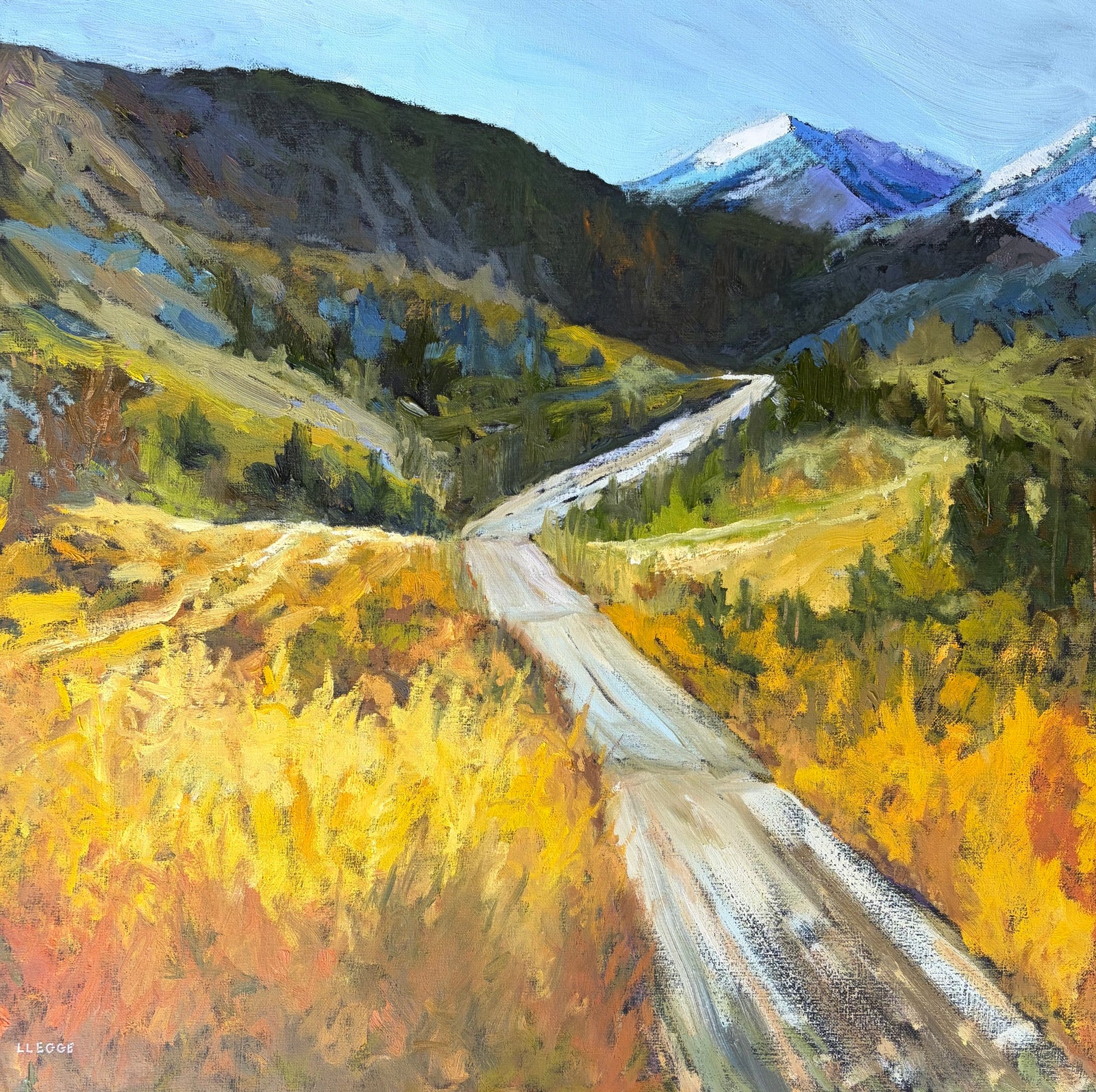 Forestry Road