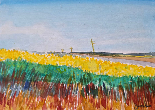 Dancing Canola