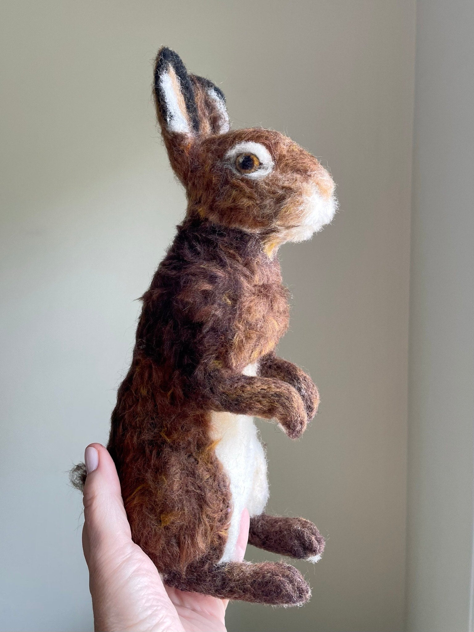 Sitting Up Hare