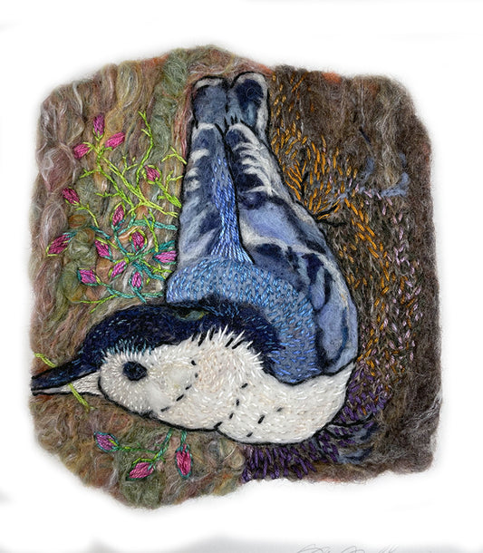 Summer Nuthatch