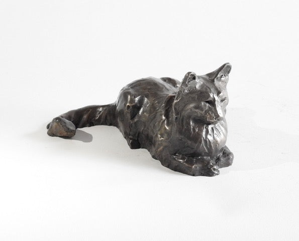 Feline Fancy aka Mr. B