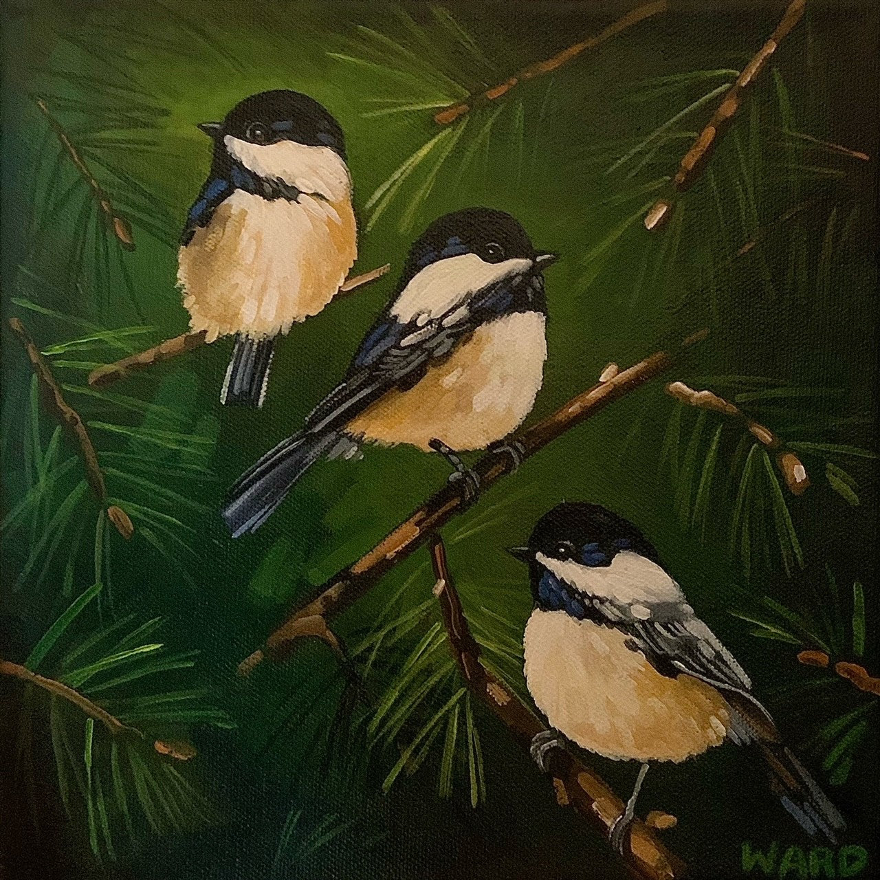 Chickadee Chorus