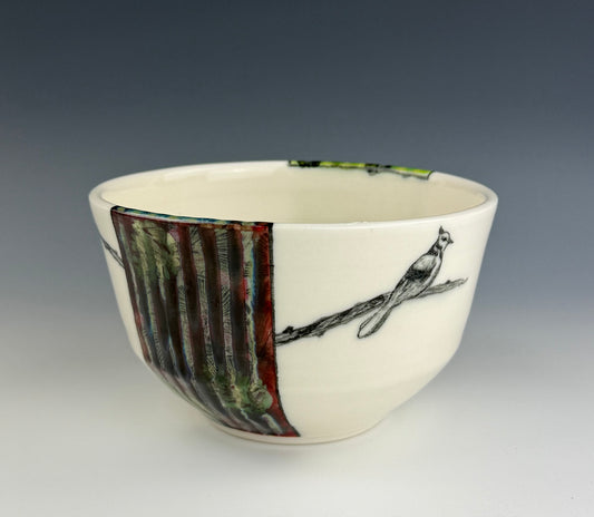 Bird Bowl 1