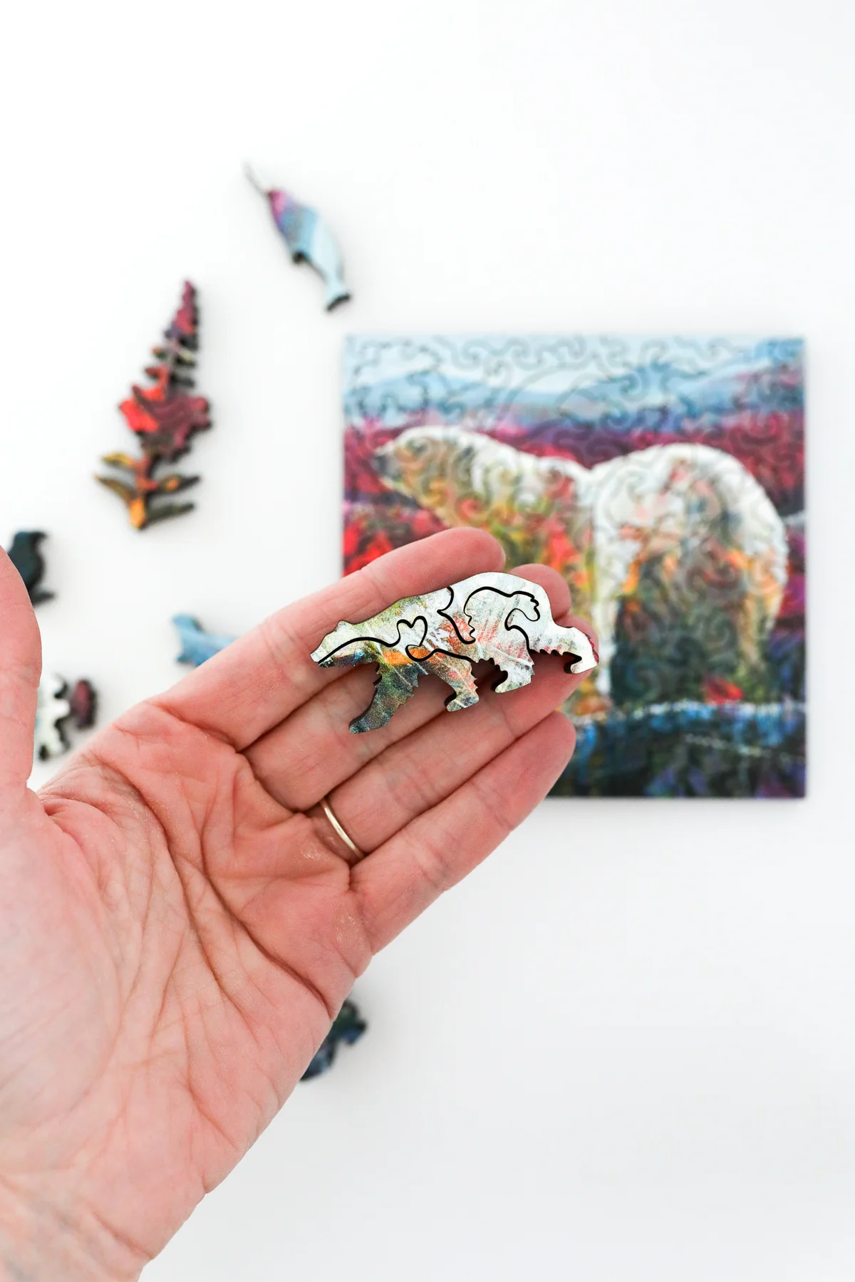 Mini Puzzle - Polar Expedition