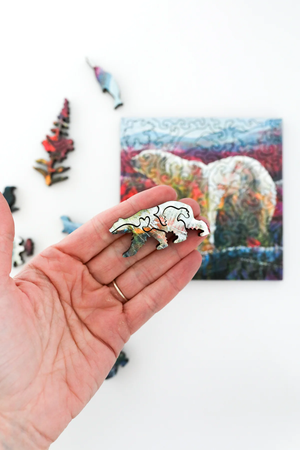 Mini Puzzle - Polar Expedition