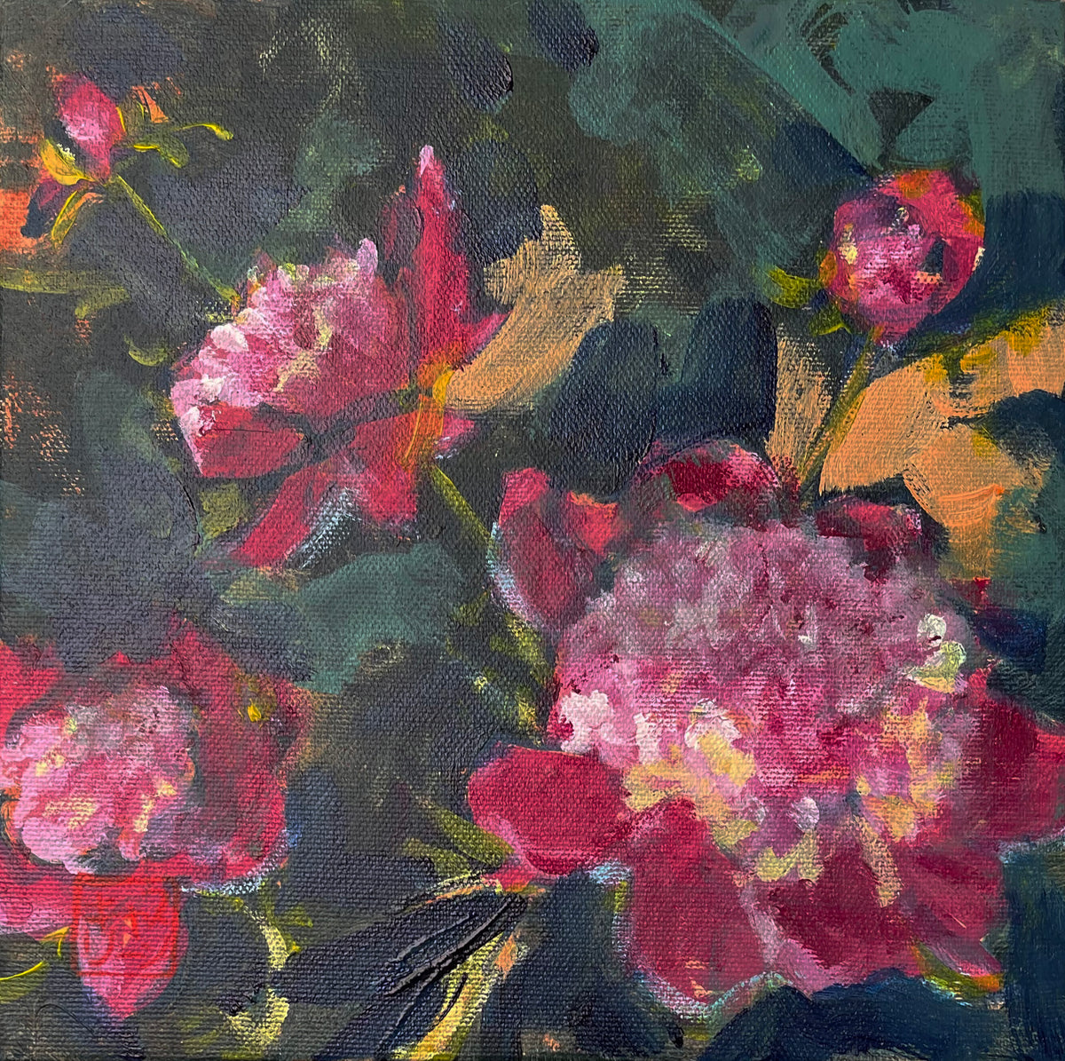 Hakone Peonies