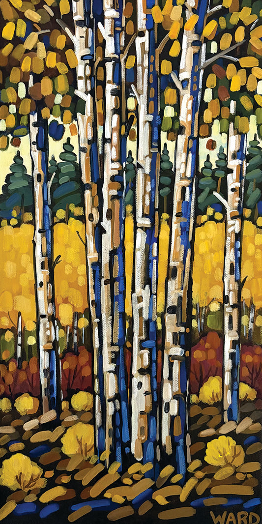 Golden Fall Aspens
