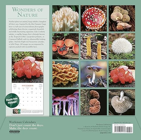 Fantastic Fungi Wall Calendar 2025