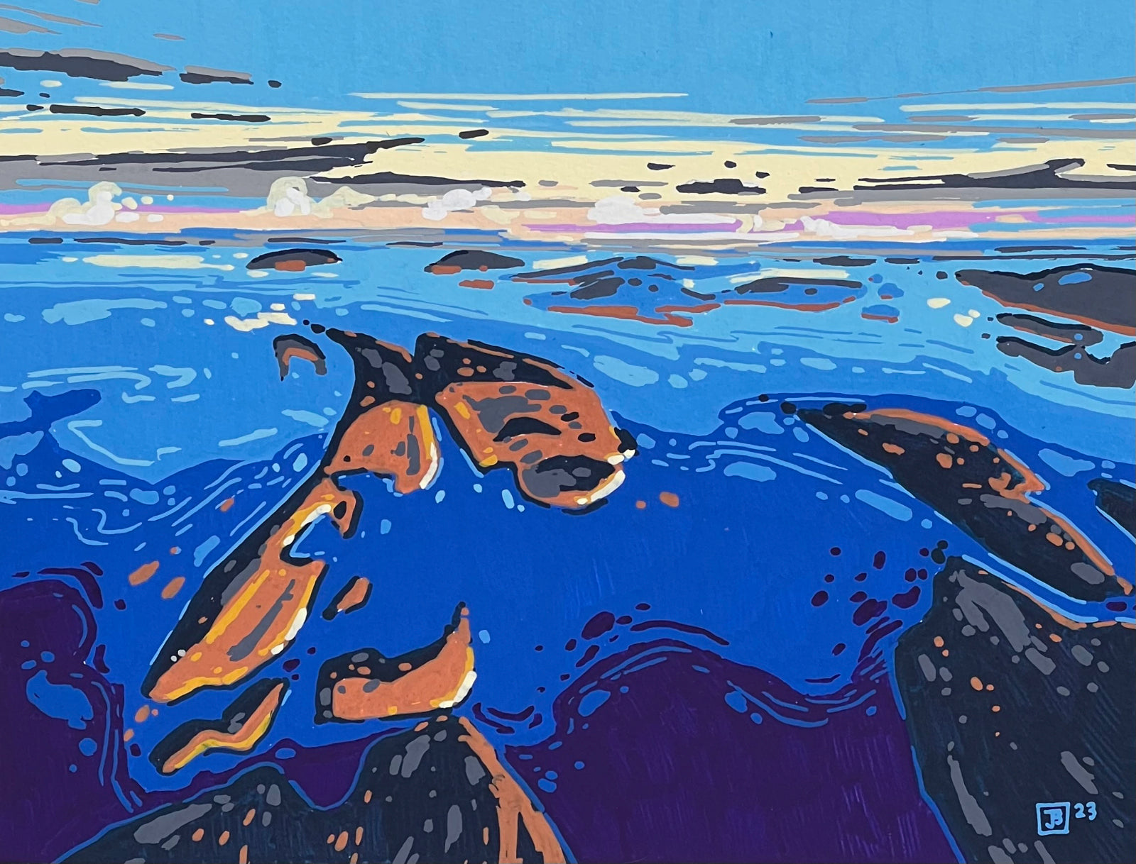 flying over the gulf islands