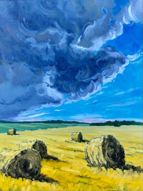 Chinook over Prairie