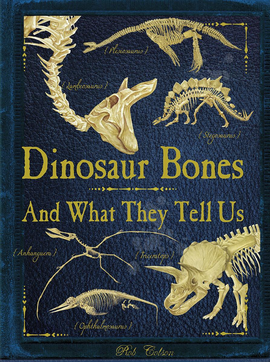 Dinosaur Bones And What They Tell Us