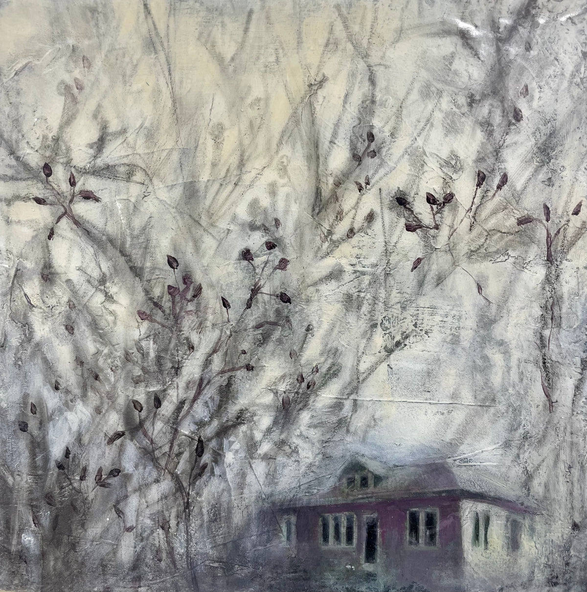 Colleen Loraine