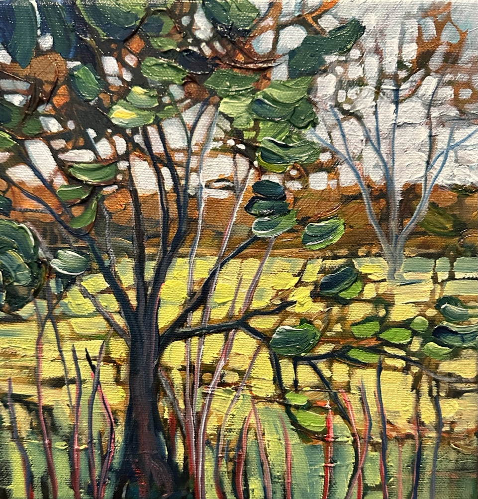 Late Summer