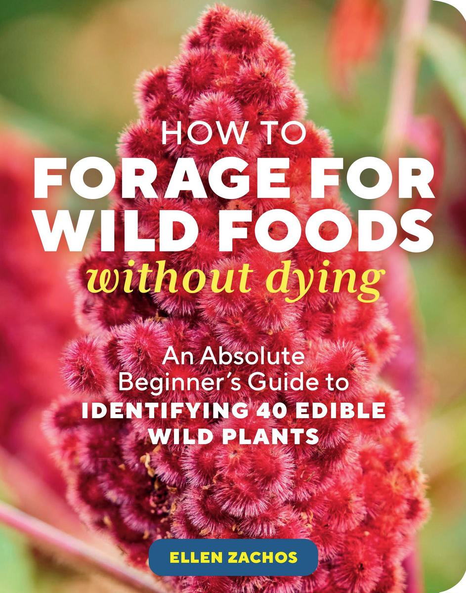 How To Forage for Wild Foods Without Dying