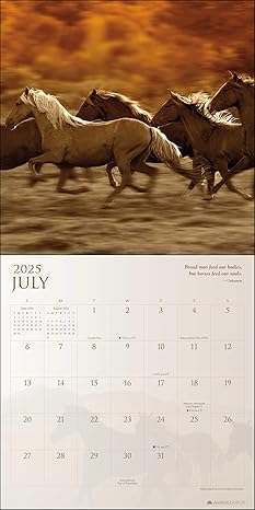 Spirit Horses Wall Calendar 2025