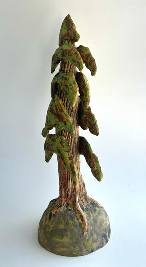 Cedar Trees