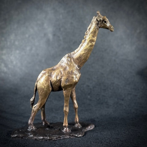 Bushveld Nomad