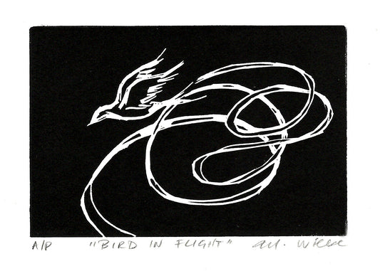 Bird in Flight