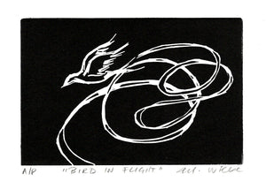 Bird in Flight