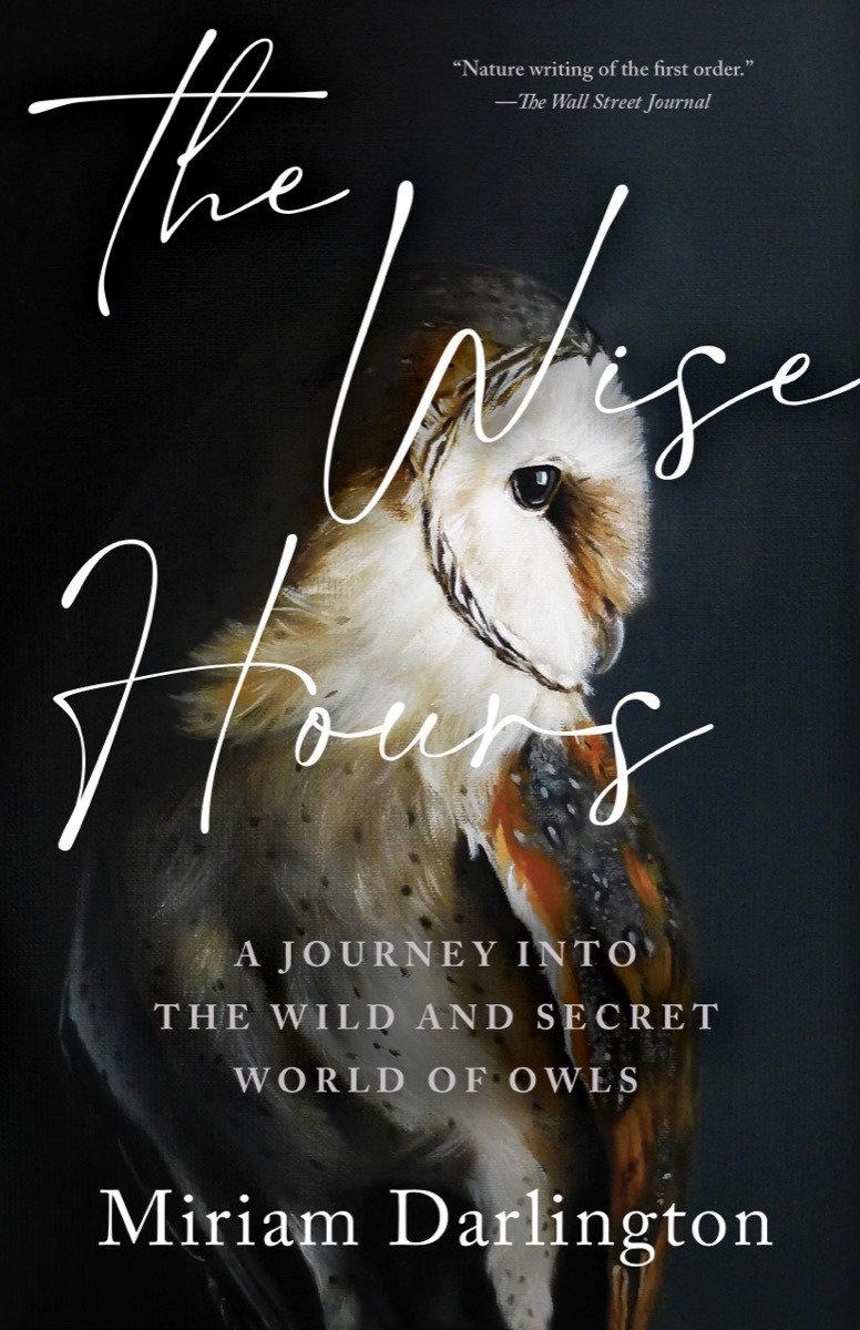 The Wise Hours: A Journey into the Wild and Secret World of Owls