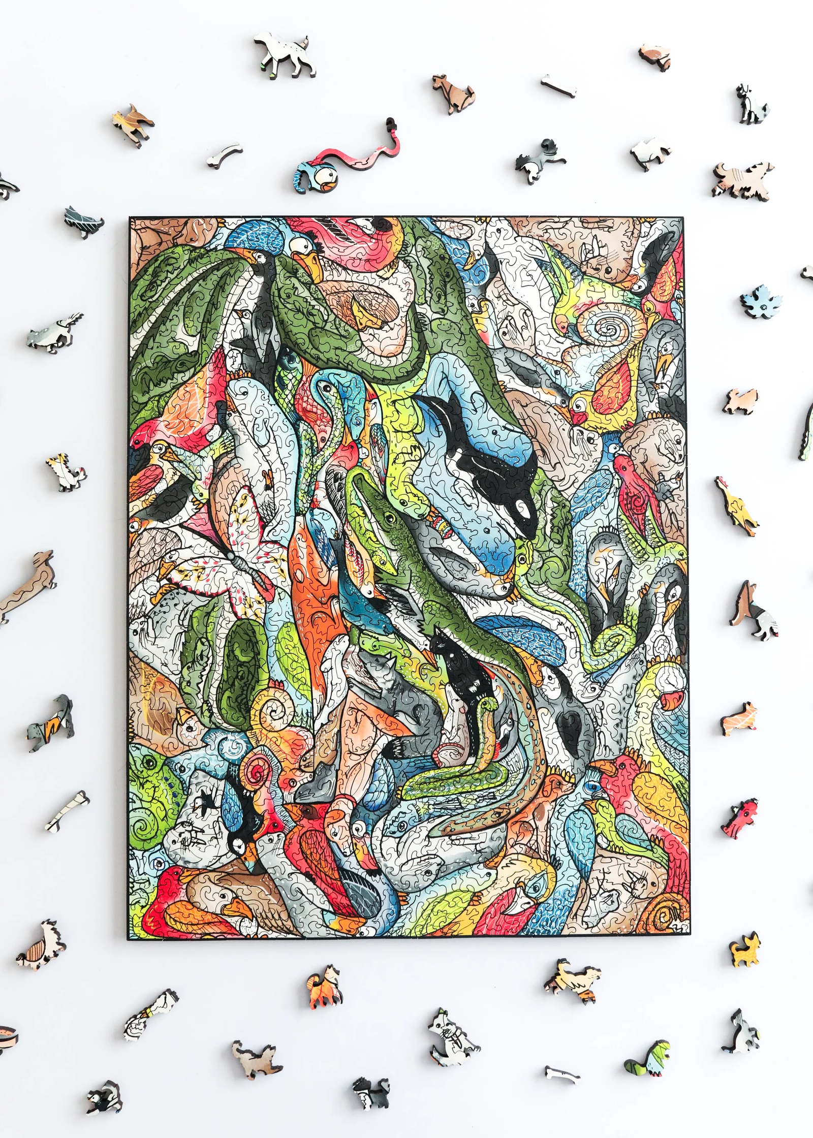 Puzzle - Canine Conundrums