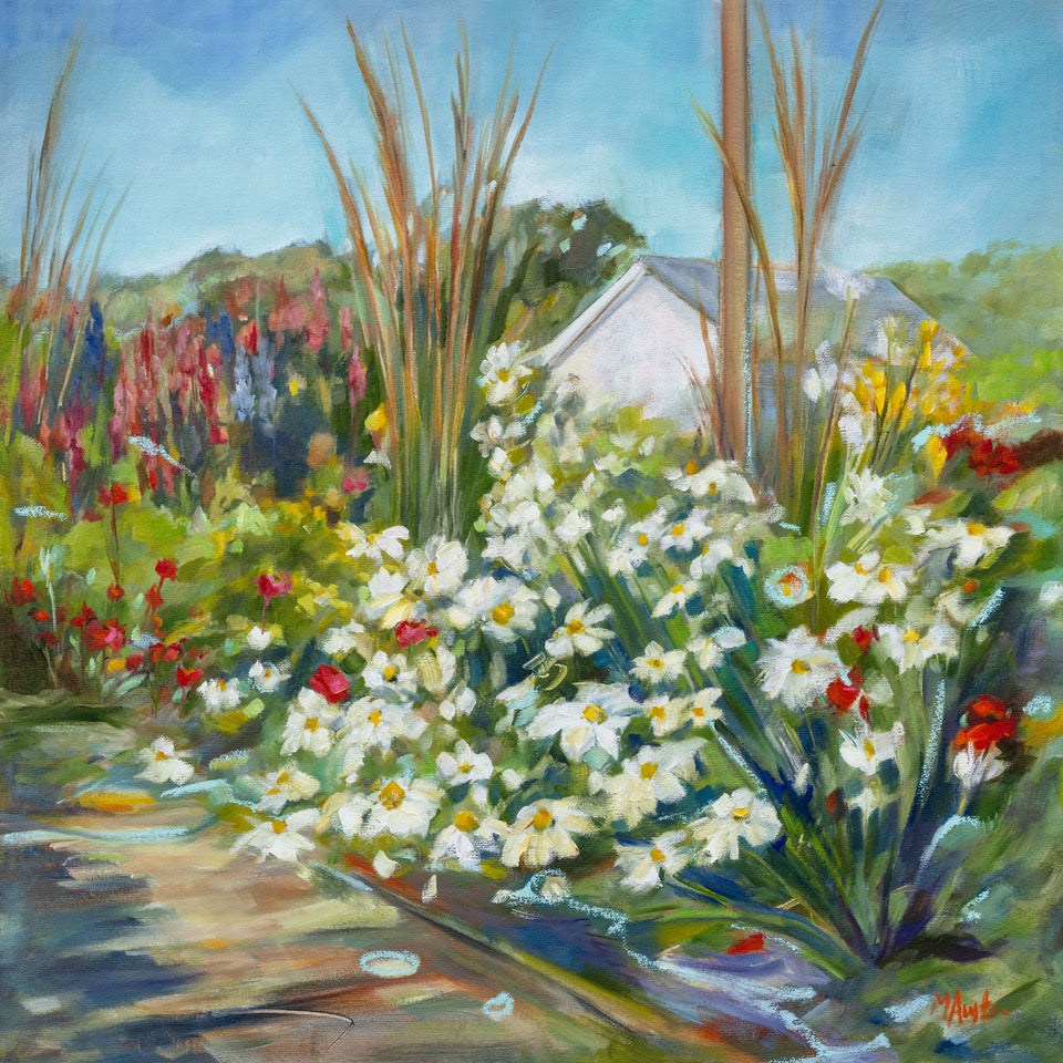 Where the daisies dance