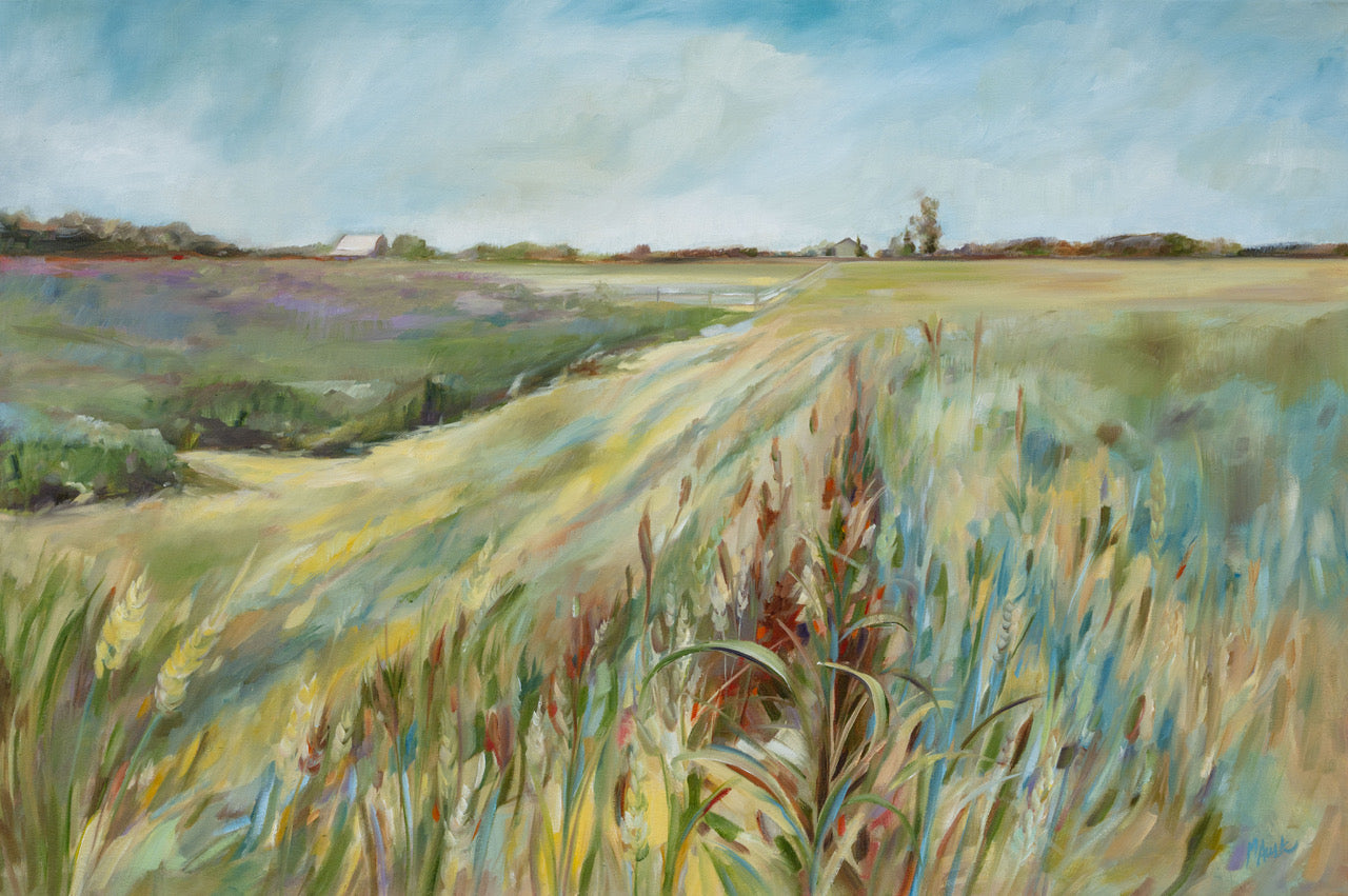 I could lay in this field