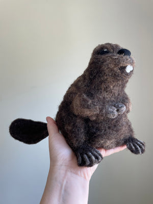 Beaver