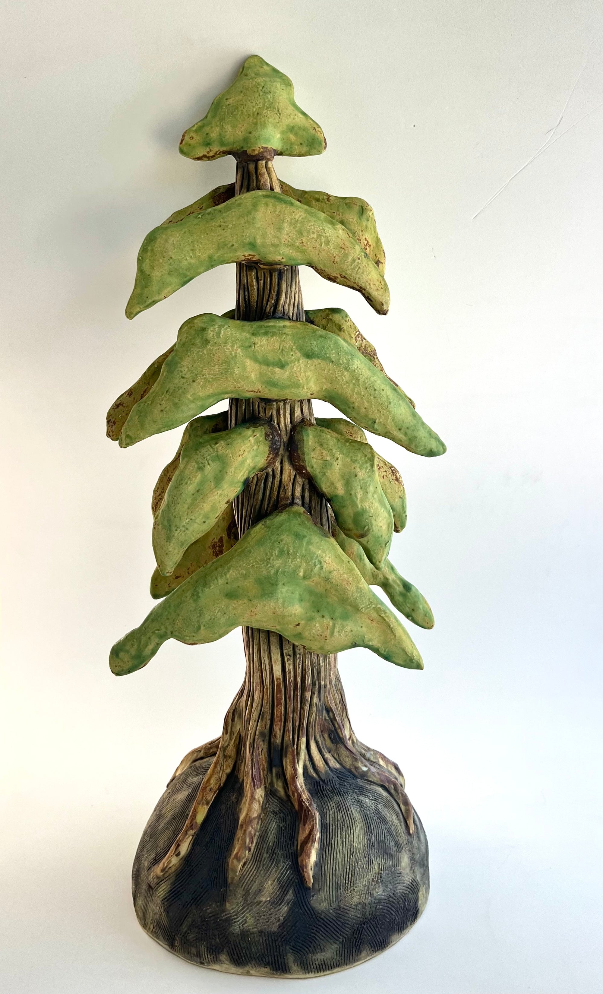 Cedar Trees