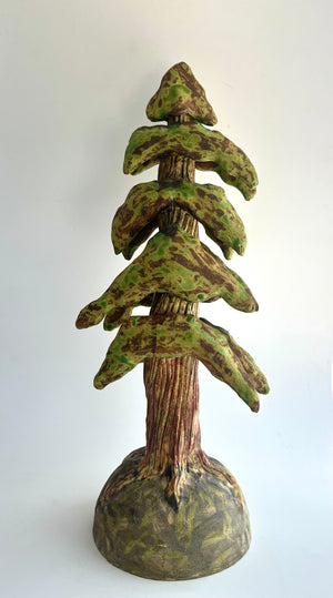 Cedar Trees