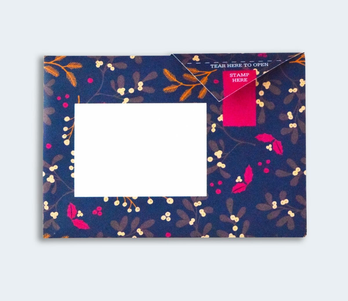 Pigeon Letter Pack - Winter Berry
