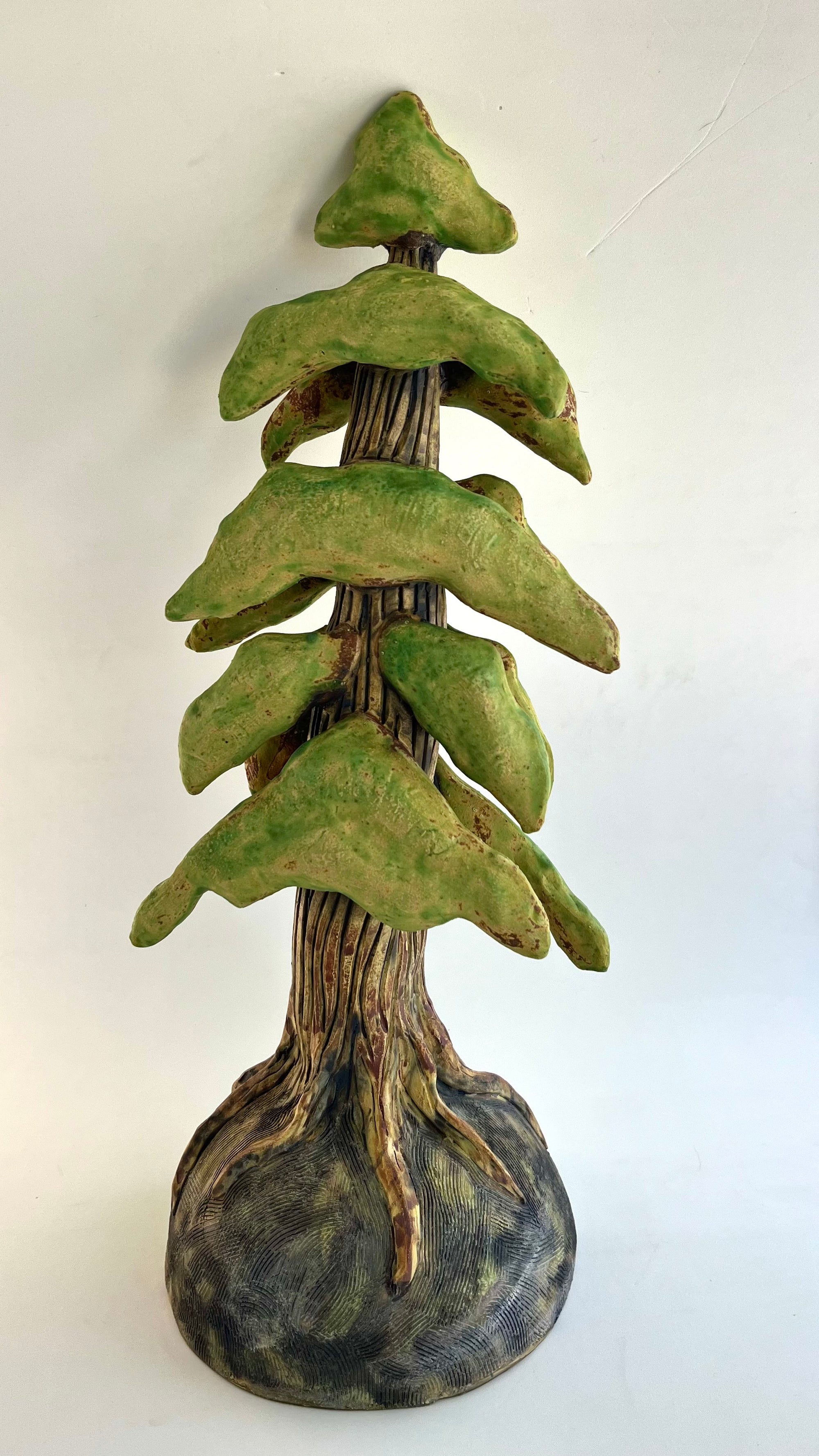 Cedar Trees