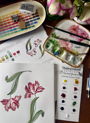 TMG  Workbook - 11 Dot Card w/Brush
