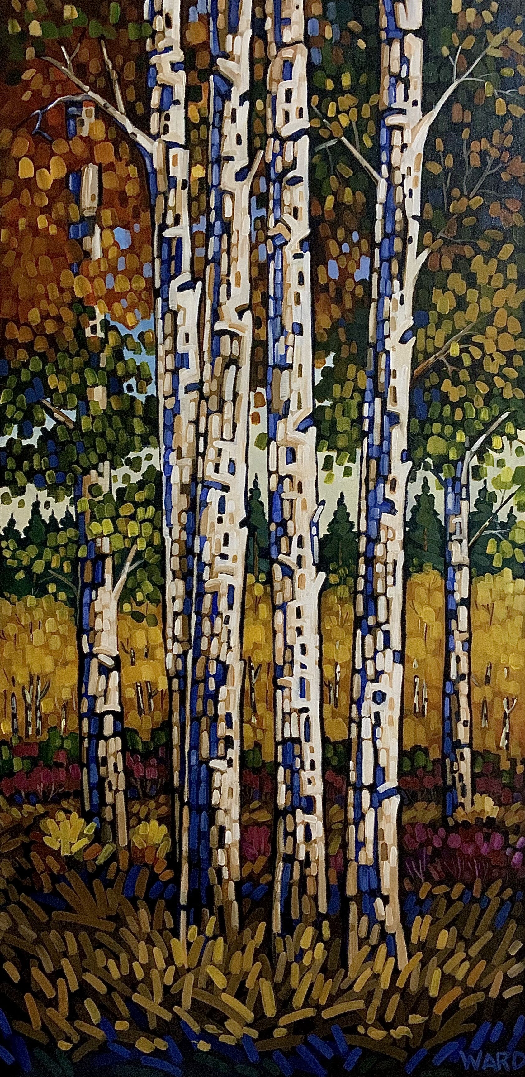 Autumn Aspen Grove