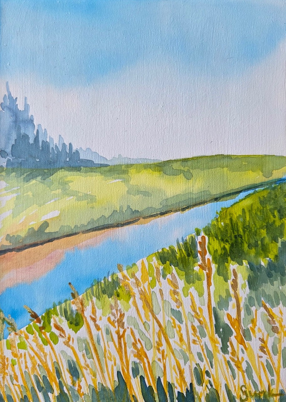 Echoes of the Meadows