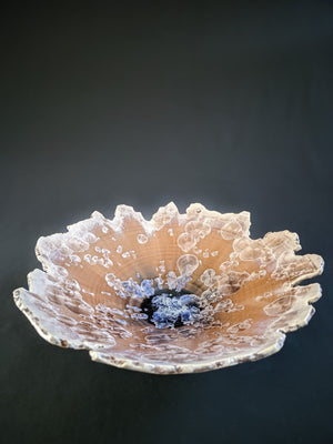 EH VII Platter