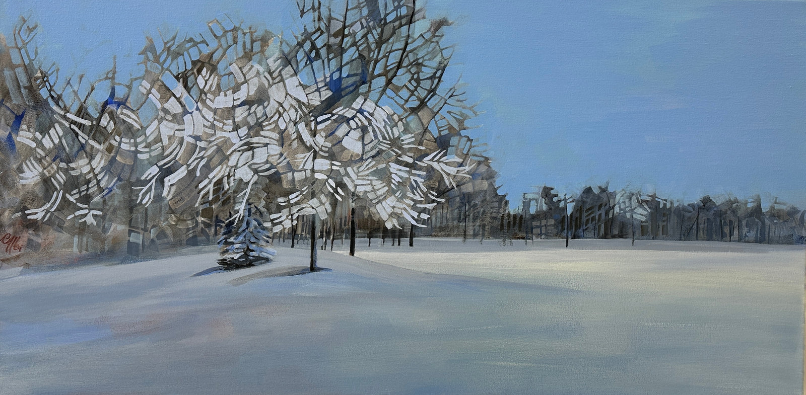 Winter in the Park Early Morning