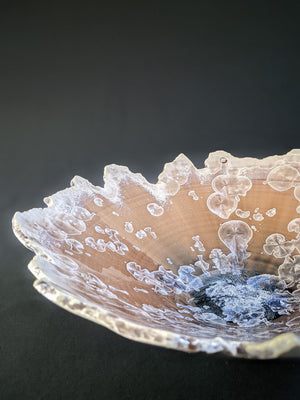 EH VII Platter