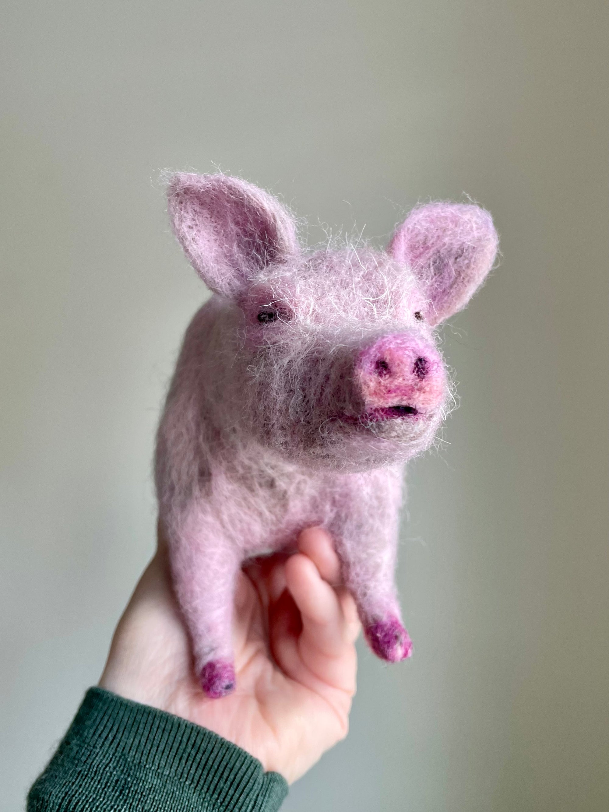 Pig