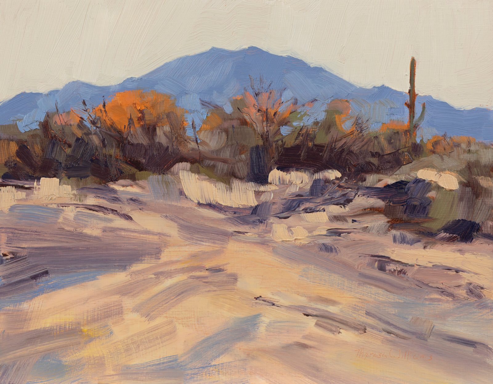 McDowell Evening