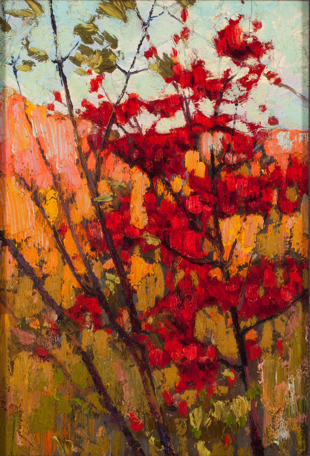 Puzzle - Soft Maple in Autumn